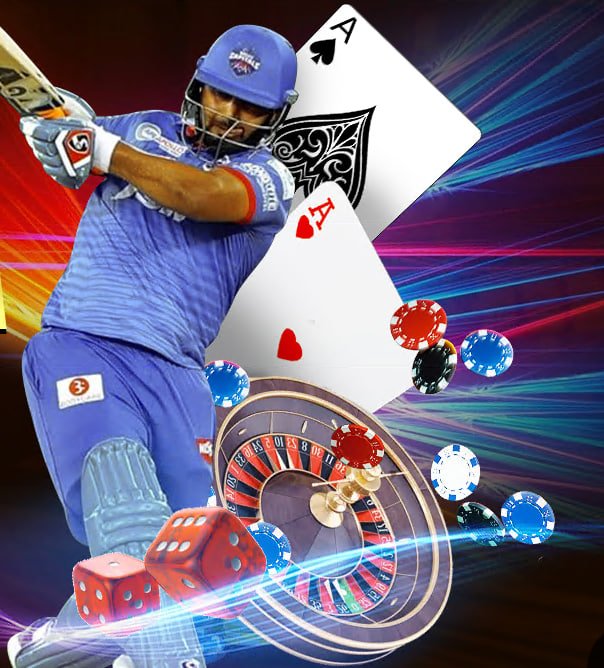 244bet