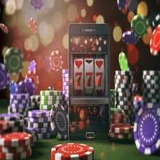244bet